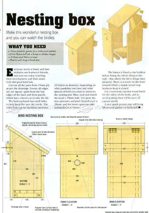 bird nest in electrical box|bird nest box plans.